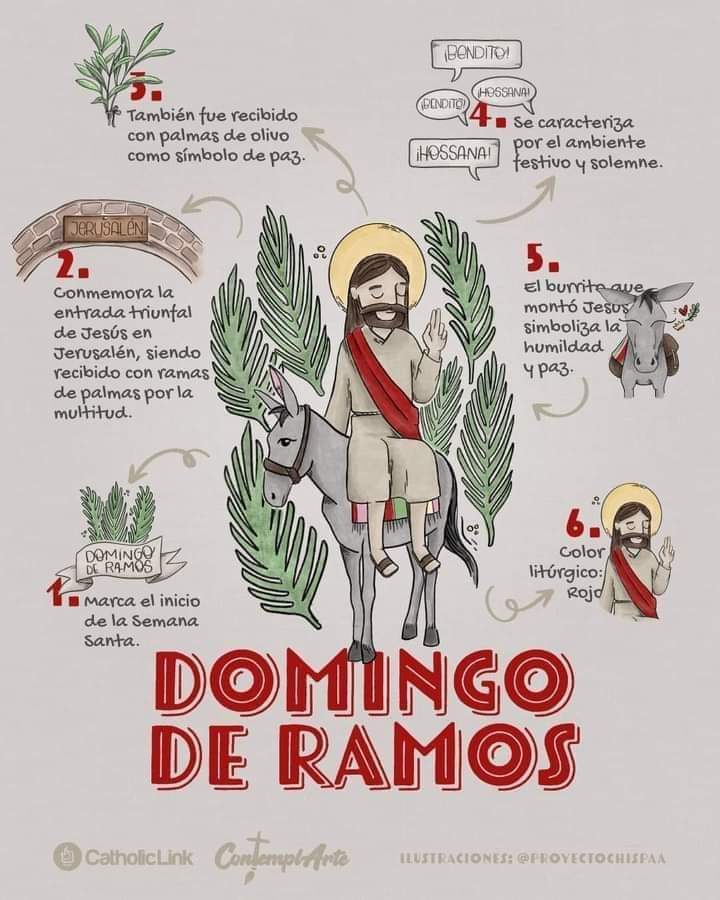 WhatsApp Image 2024 03 24 at 11.17.29